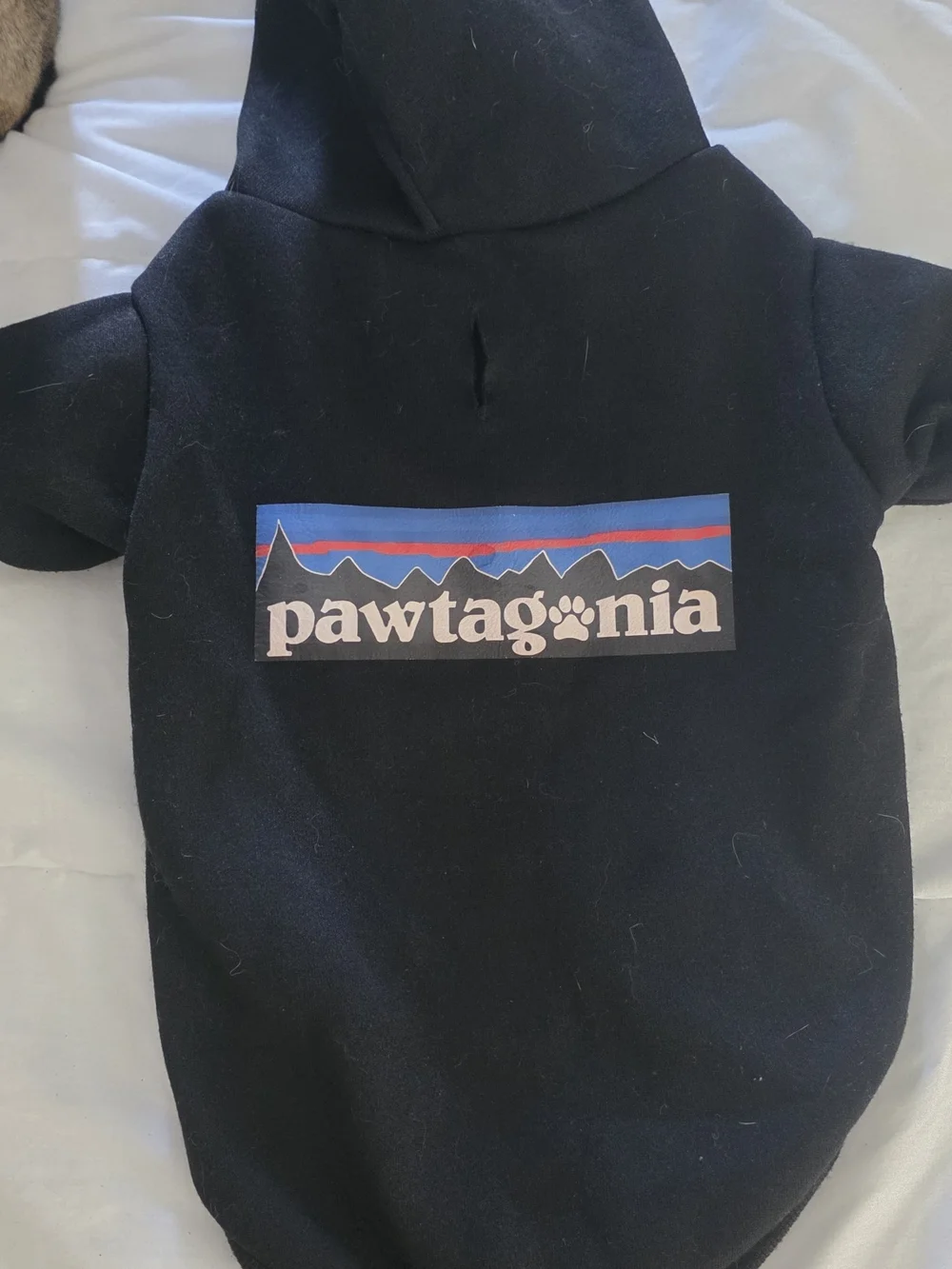 Pawtagonia Black Dog Hoodie with Mountain Logo